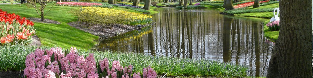 Flowergarden Keukenhof