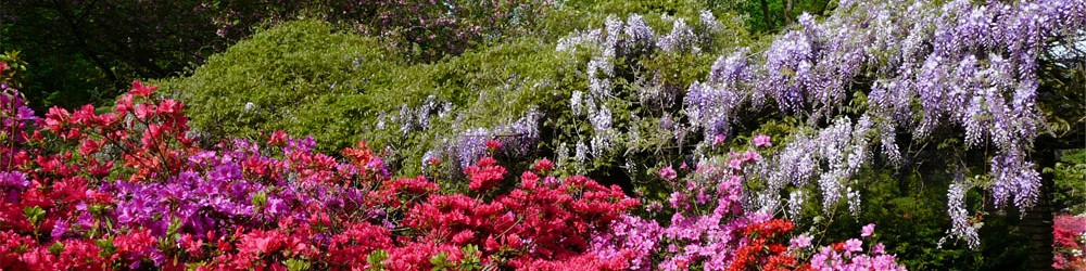 Flowergarden Keukenhof